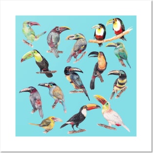 A Flock of Watercolor Toucans Posters and Art